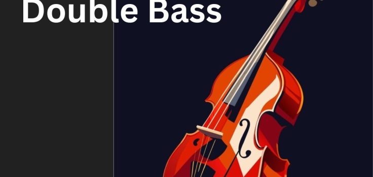 Stylized illustration of a Double Bass in vibrant orange and red tones, set against a dark background, emphasizing its elegant curves and intricate details