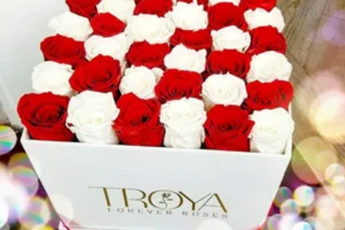 Forever Roses: Red and white blooms arranged in a stunning Troya box, offering timeless elegance for any special occasion.