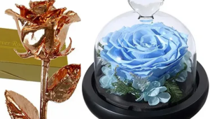 Forever Roses: Elegant gold-dipped and preserved blue roses that last, making every moment timeless and unforgettable